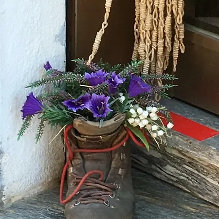 Appartement La Casa Di Chiara